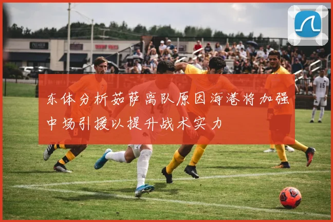 东体分析茹萨离队原因海港将加强中场引援以提升战术实力